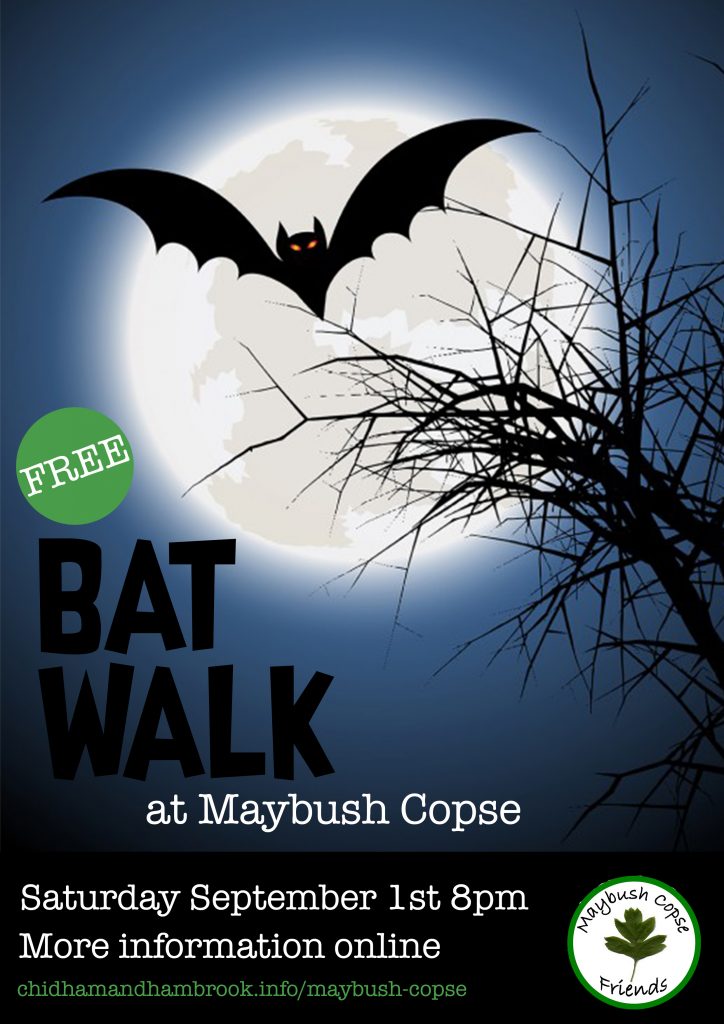 bat walk at maybush copse in chidham