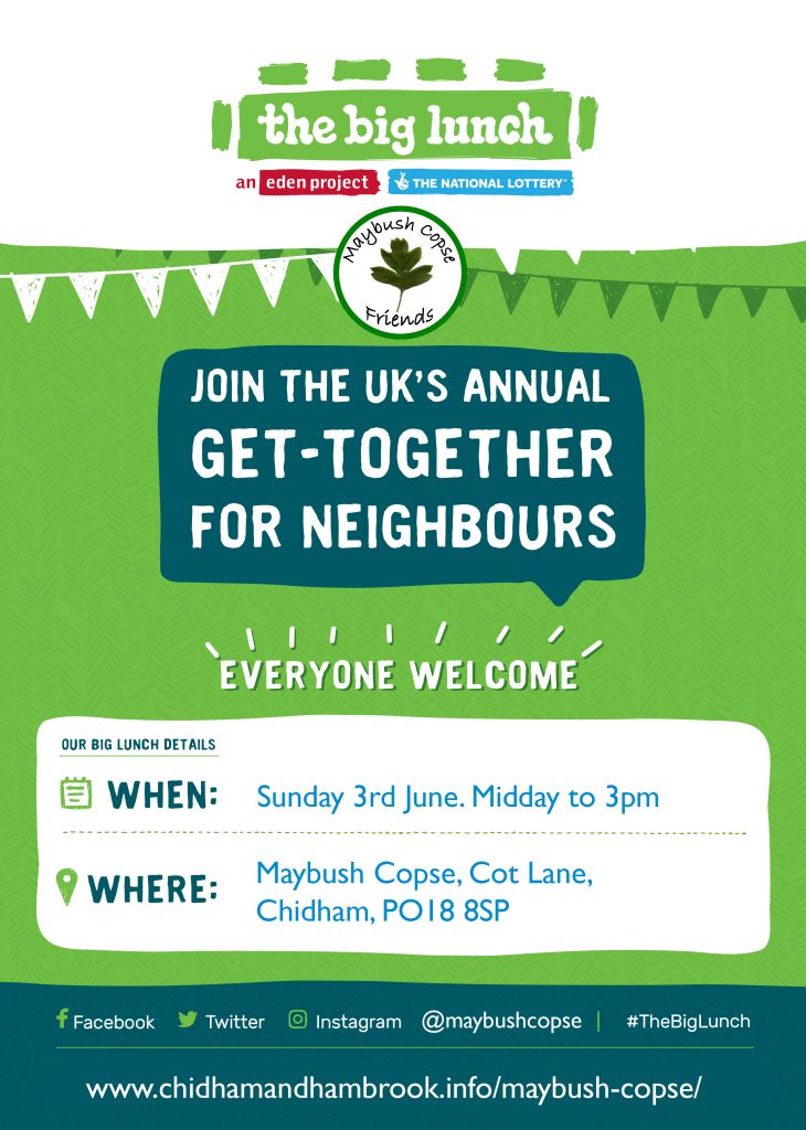 Big Lunch community picnic near Chichester